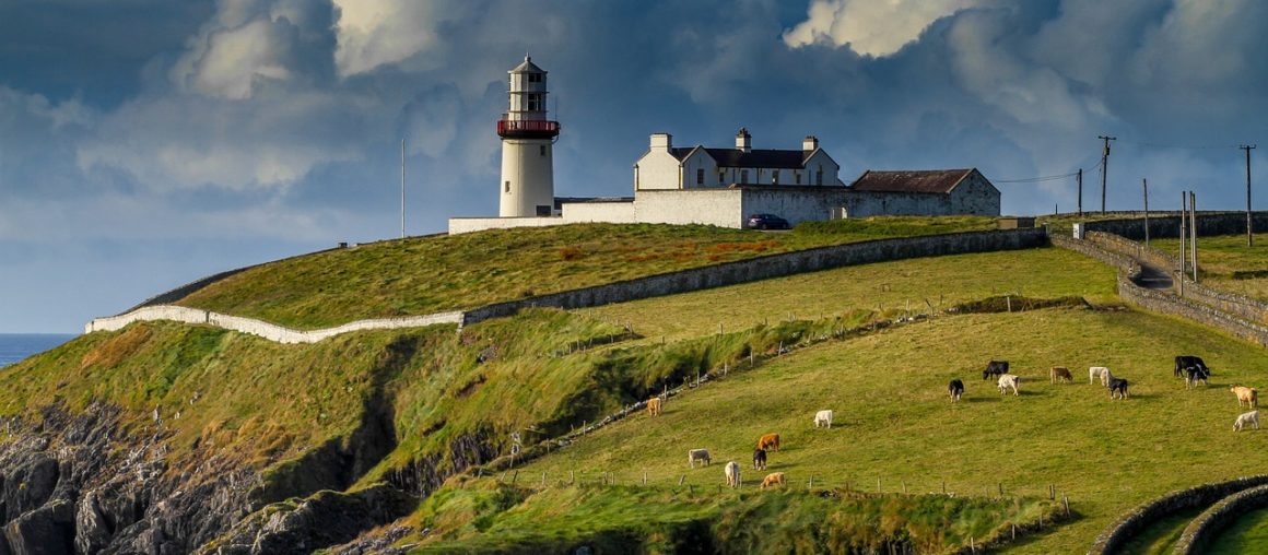 Real estate in Ireland: characteristics of the housing market in the country