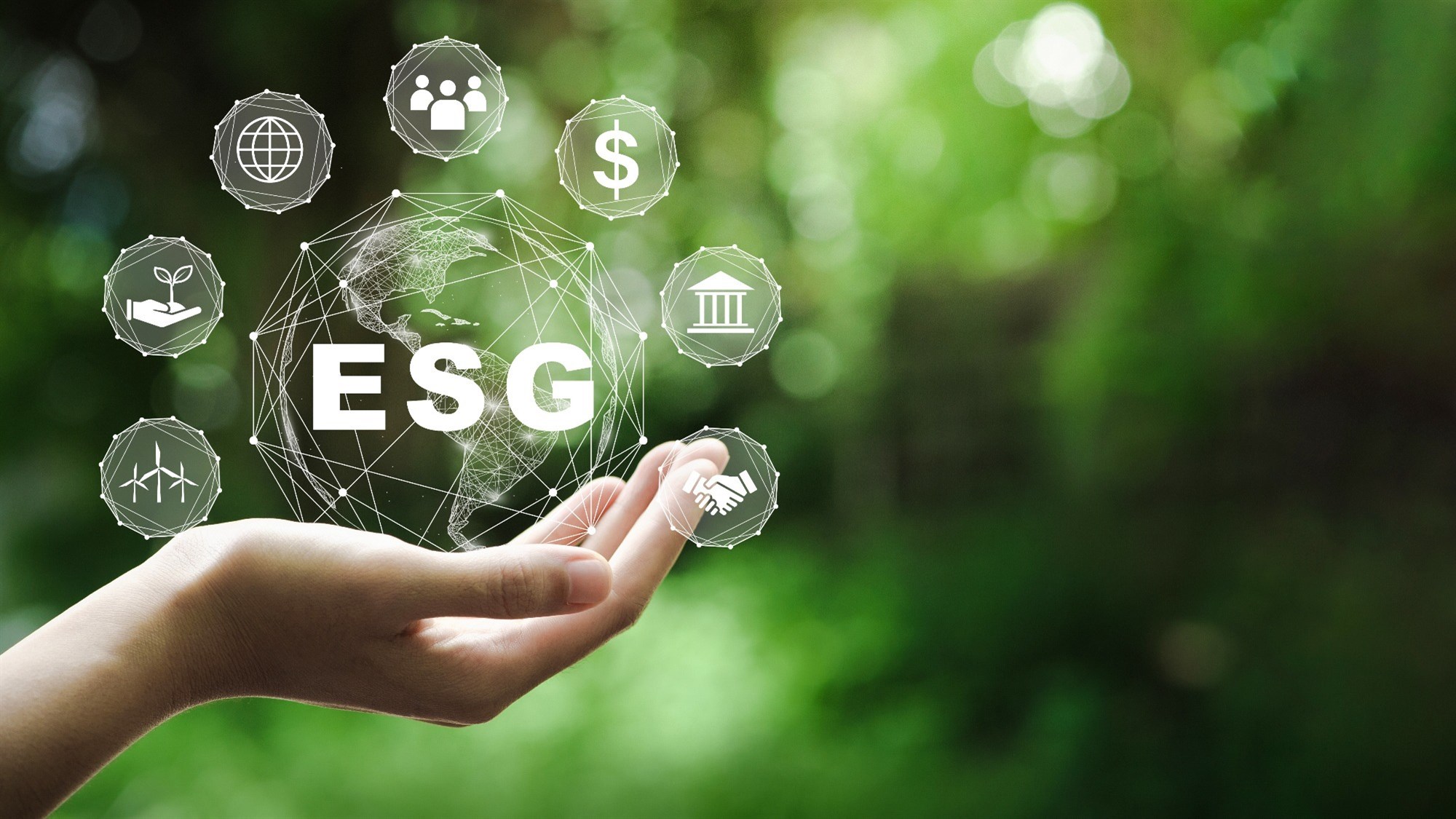 ESG-стандарт